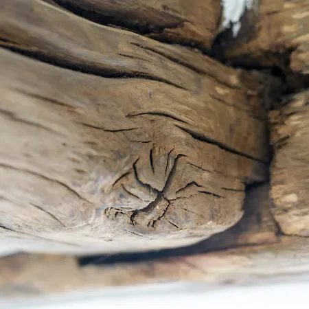 Nengshof Gaensebluemchen Дом отдыха