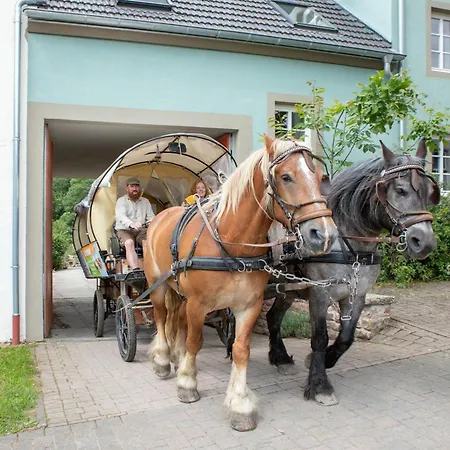 Nengshof Gaensebluemchen * Висмансдорф