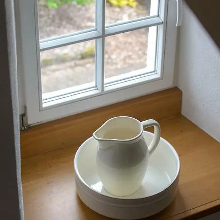 Nengshof Gaensebluemchen