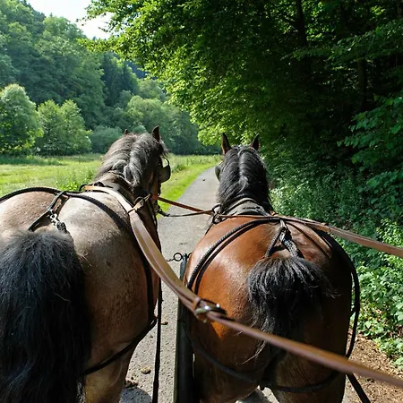 Nengshof Gaensebluemchen *