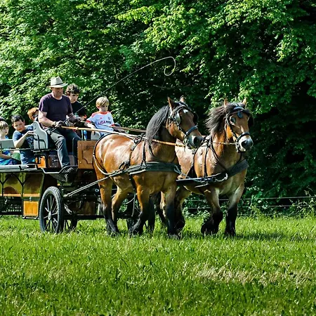 Nengshof Gaensebluemchen Wißmannsdorf