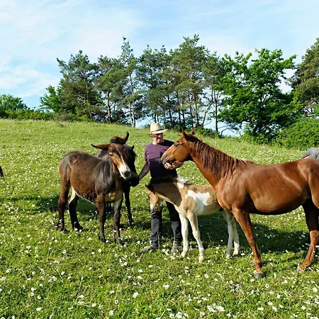 Dom wakacyjny Nengshof Gaensebluemchen *