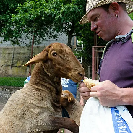 Nengshof Gaensebluemchen Wißmannsdorf
