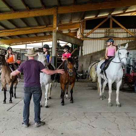 Nengshof Gaensebluemchen Dom wakacyjny