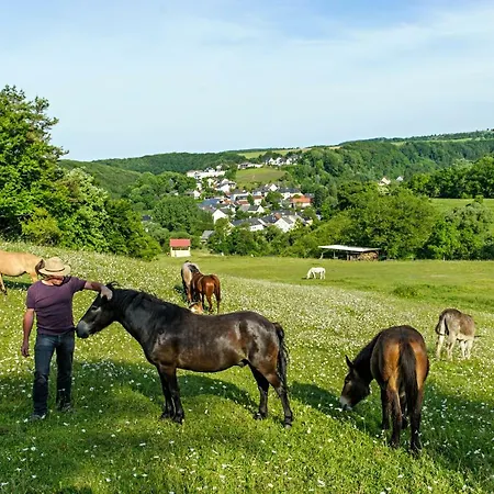 Nengshof Gaensebluemchen Dom wakacyjny *