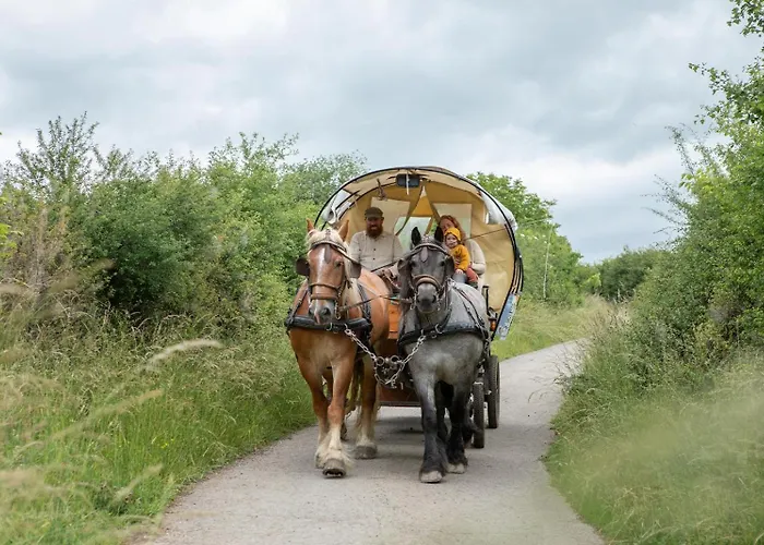 Nengshof Gaensebluemchen Висмансдорф