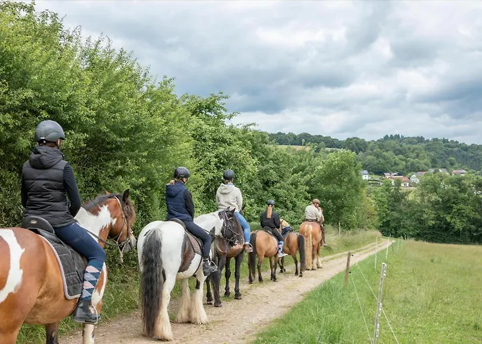 Nengshof Gaensebluemchen