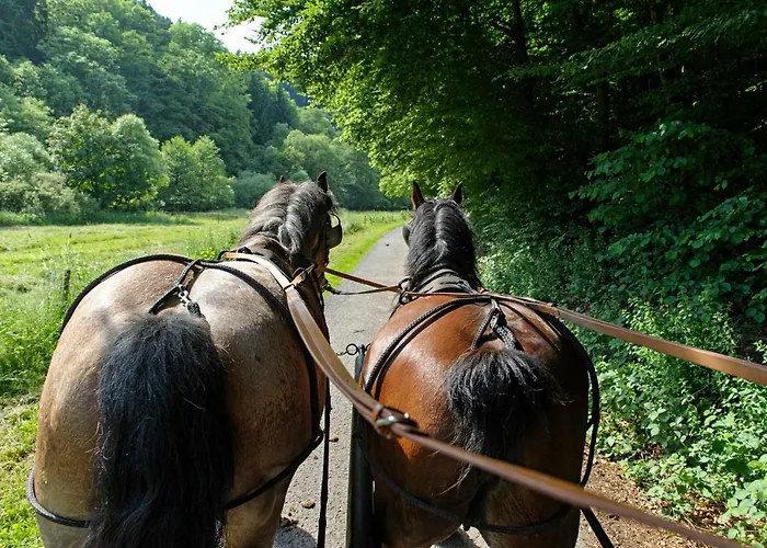 Nengshof Gaensebluemchen *