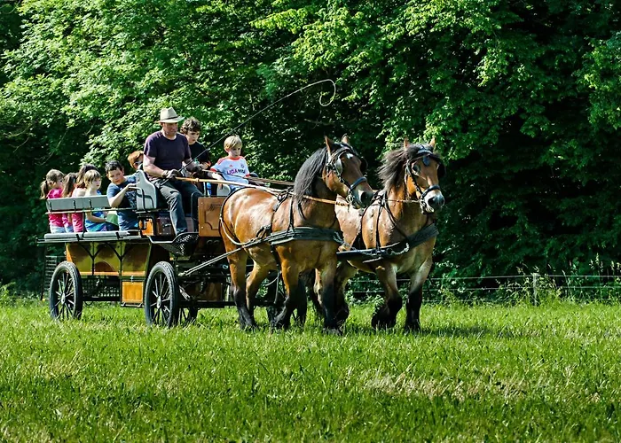 Nengshof Gaensebluemchen Wissmannsdorf