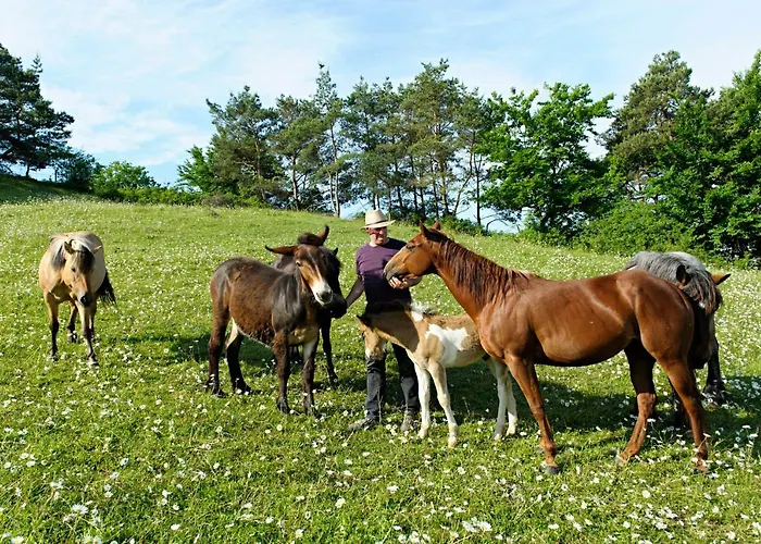 בית נופש Nengshof Gaensebluemchen *