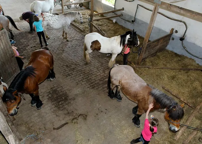 Nengshof Gaensebluemchen Holiday home Wissmannsdorf