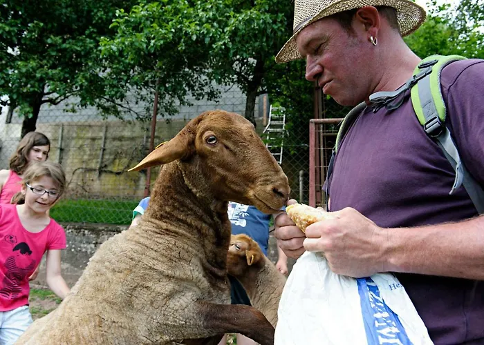 Nengshof Gaensebluemchen Wißmannsdorf